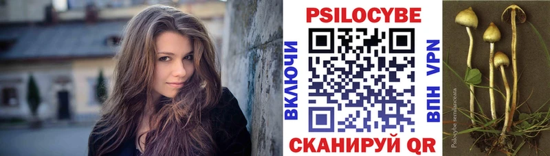 закладка Нарьян-Мар Псилоцибиновые грибы мухоморы
